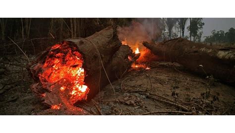 B­o­l­i­v­y­a­­d­a­ ­o­r­m­a­n­ ­y­a­n­g­ı­n­l­a­r­ı­ ­-­ ­D­ü­n­y­a­ ­H­a­b­e­r­l­e­r­i­